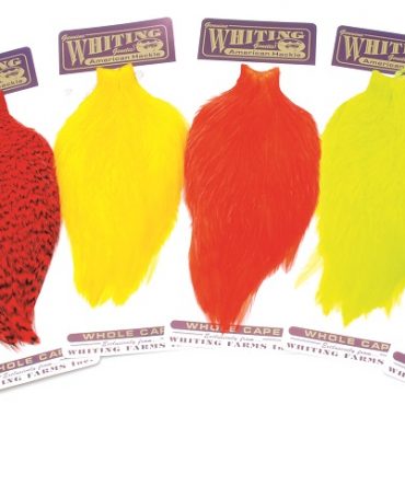 Whiting American Rooster Cape