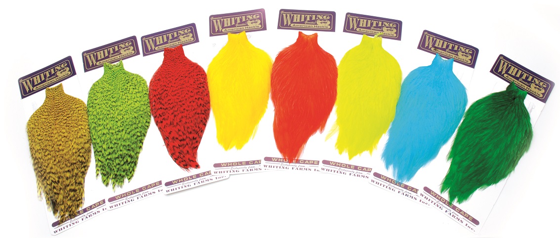 Whiting American Rooster Cape