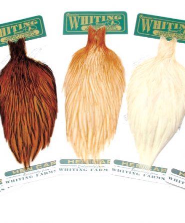 Whiting Hebert Hen Cape