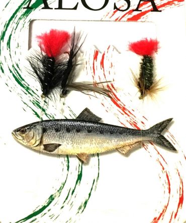 Dida Wet Fly -perholitka