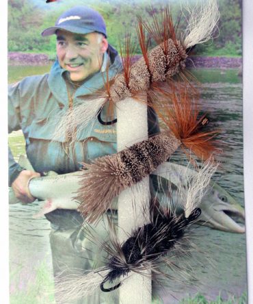 DIDA PINTABOMBER -perholajitelma