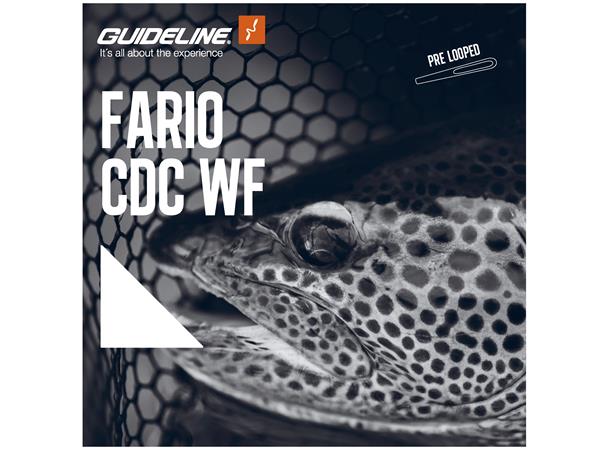 Guideline Fario CDC WF -perhosiima