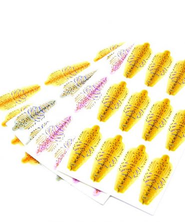 Future Fly Shrimp Shells