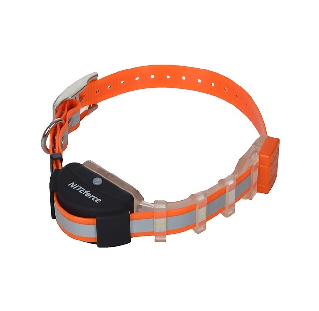 Niteforce live map dog GPS -tutkapanta