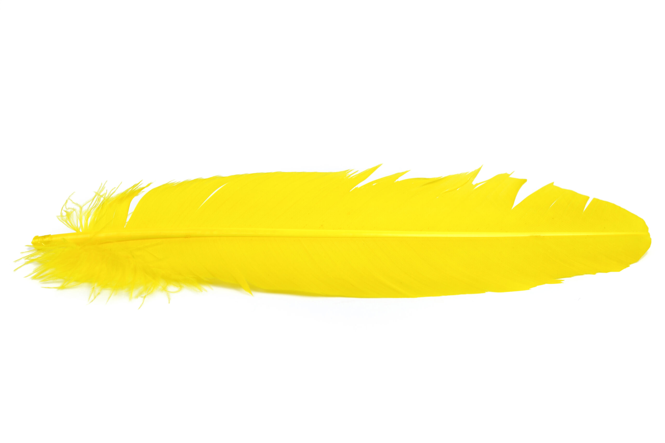 Veniard Turkey Broad Wing Quills