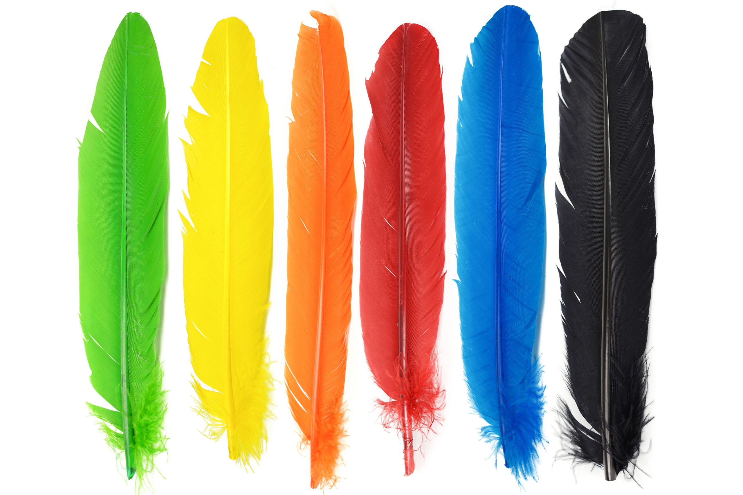 Veniard Turkey Broad Wing Quills