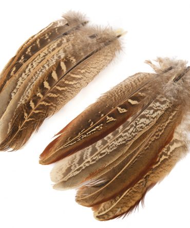Veniard PHEASANT COCK RINGNECK WING QUILLS