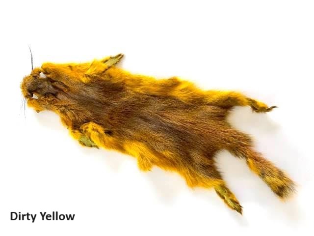 Future Fly Golden Squirrel