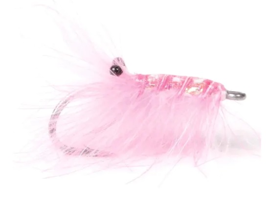 Guideline Runar's CDC Reke Pink -perho