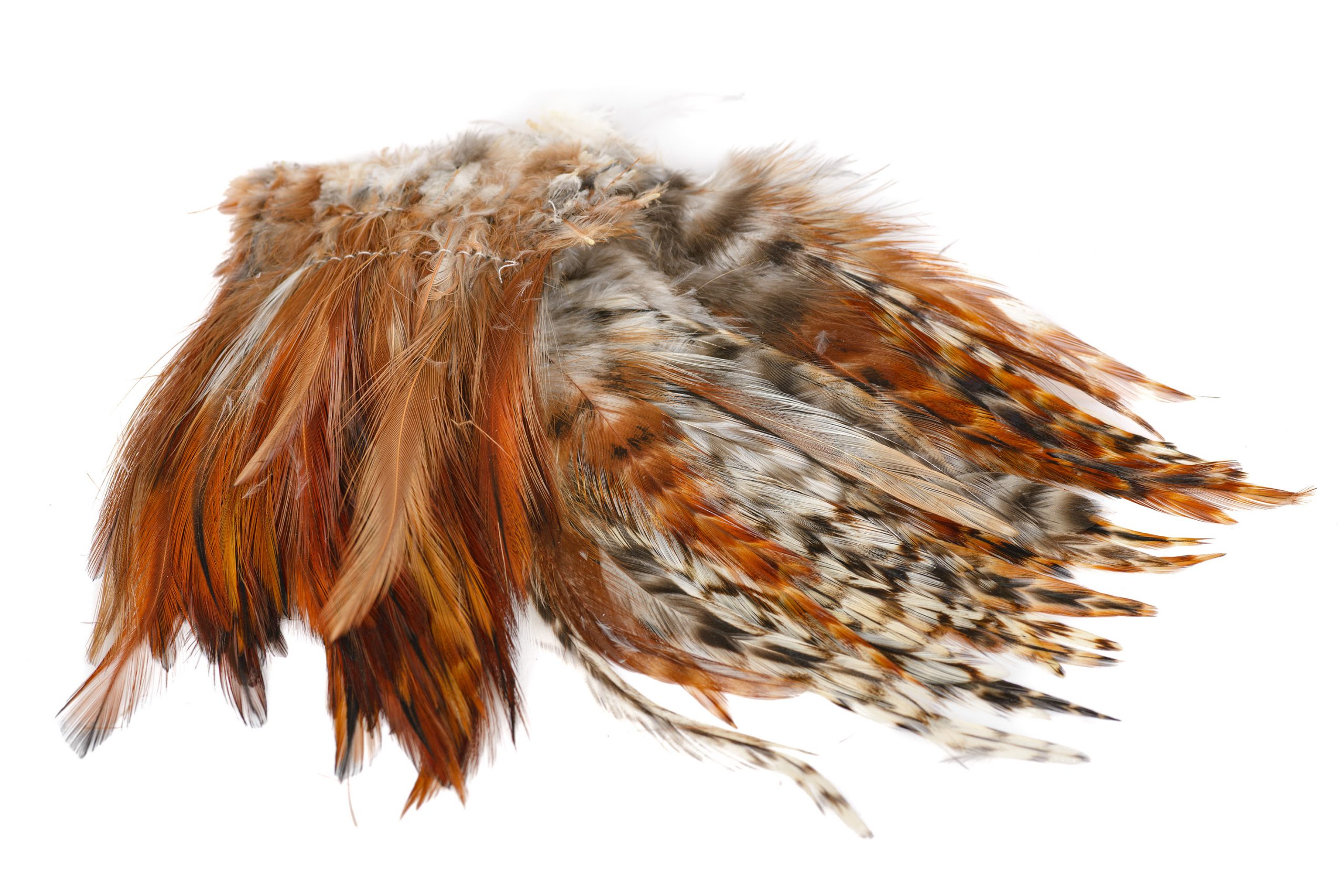 Fly Dressing Strung Neck Hackle