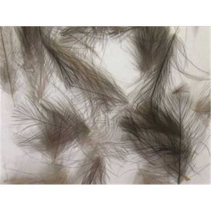 TOF WILD CDC -höyhenet